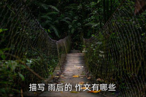 雨后作文,雨珠仿佛把星石帶在身上閃閃發(fā)光亮閃閃