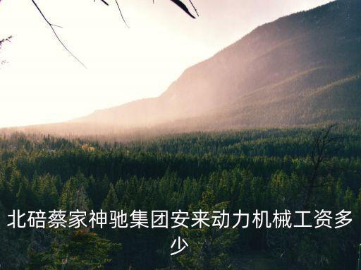 北碚蔡家神馳集團安來動力機械工資多少