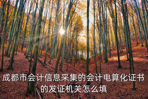 成都市會(huì)計(jì)信息采集的會(huì)計(jì)電算化證書(shū)的發(fā)證機(jī)關(guān)怎么填