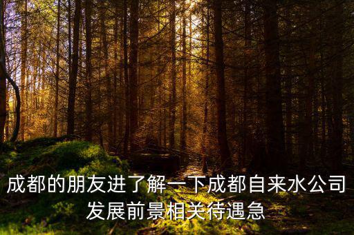 成都的朋友進(jìn)了解一下成都自來(lái)水公司發(fā)展前景相關(guān)待遇急