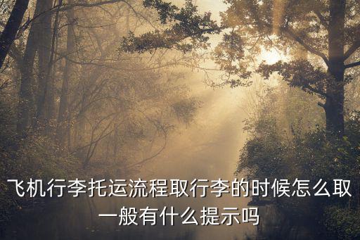 天津市飛航貨運代理，國內快遞公司中航空資源比較好的快遞公司有哪些