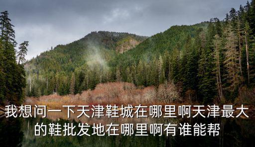 我想問一下天津鞋城在哪里啊天津最大的鞋批發(fā)地在哪里啊有誰能幫