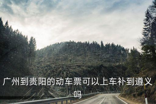 廣州到貴陽的動車票可以上車補到遵義嗎