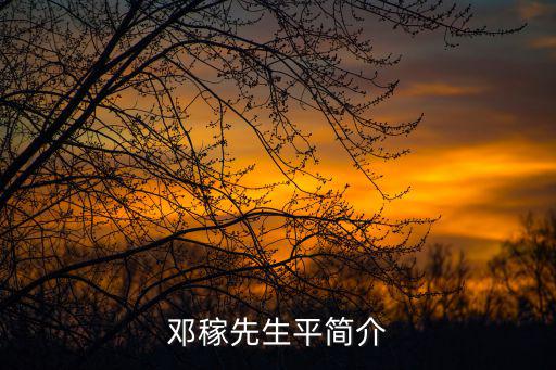 鄧稼先生平簡介