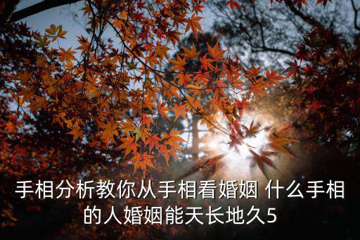 手相分析教你從手相看婚姻 什么手相的人婚姻能天長地久5