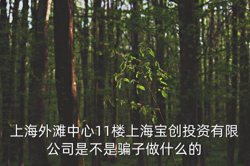 上海外灘中心11樓上海寶創(chuàng)投資有限公司是不是騙子做什么的