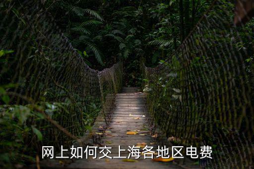 網上如何交上海各地區電費