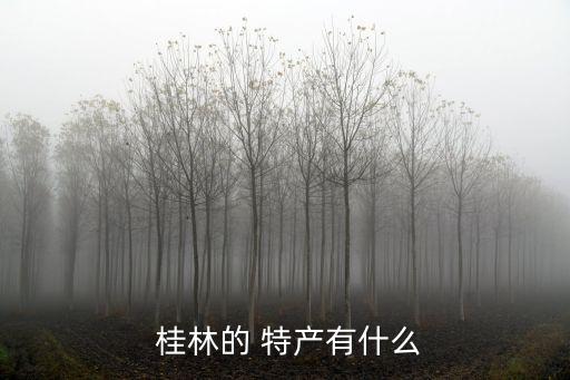  桂林的 特產有什么