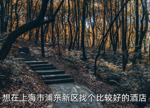 想在上海市浦東新區(qū)找個比較好的酒店
