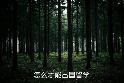 怎么才能出國留學(xué)