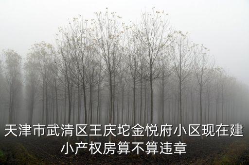 天津市武清區(qū)王慶坨金悅府小區(qū)現(xiàn)在建小產(chǎn)權(quán)房算不算違章