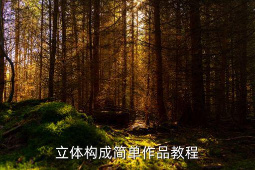 立體構(gòu)成簡(jiǎn)單作品教程