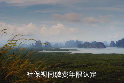社保視同繳費(fèi)年限認(rèn)定