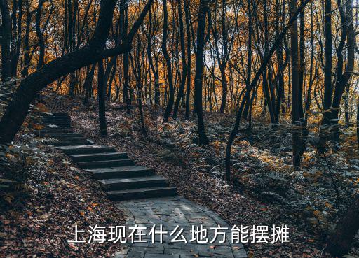 上海現在什么地方能擺攤