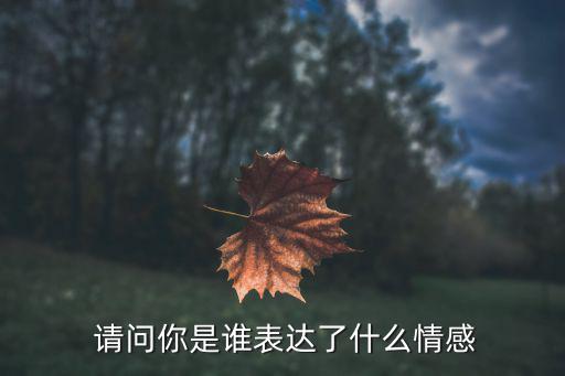  請問你是誰表達(dá)了什么情感