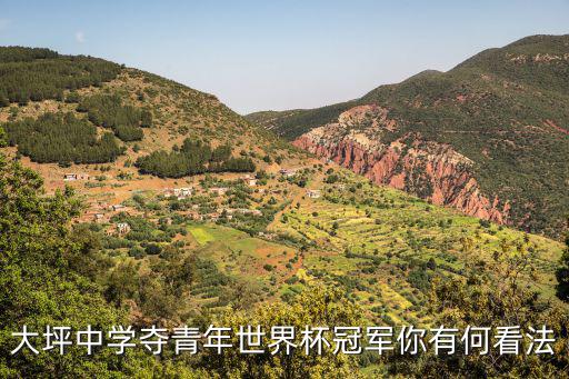 重慶市青少年乒乓球冠軍賽，大坪中學奪青年世界杯冠軍你有何看法