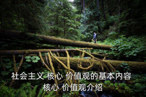 社會主義 核心 價值觀的基本內(nèi)容 核心 價值觀介紹