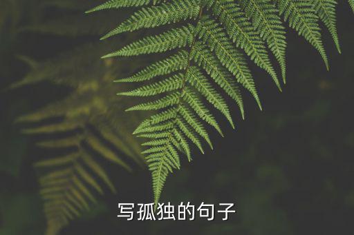 寫孤獨的句子