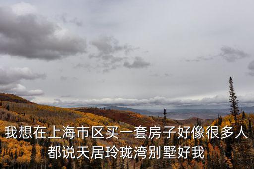 我想在上海市區買一套房子好像很多人都說天居玲瓏灣別墅好我