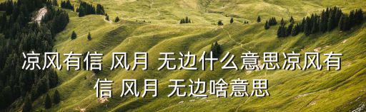涼風有信 風月 無邊什么意思涼風有信 風月 無邊啥意思
