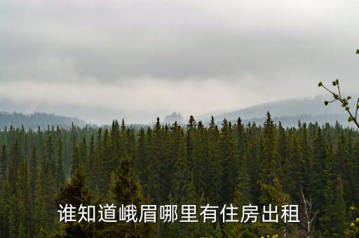 成都市峨眉單身公寓出租，誰知道峨眉哪里有住房出租