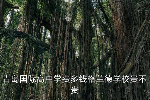 國(guó)際高中費(fèi)用一年大概多少青島，青島國(guó)際高中學(xué)費(fèi)多錢(qián)格蘭德學(xué)校貴不貴
