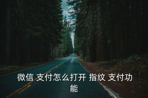 微信開啟指紋支付,怎么用指紋支付?點擊這里!看!