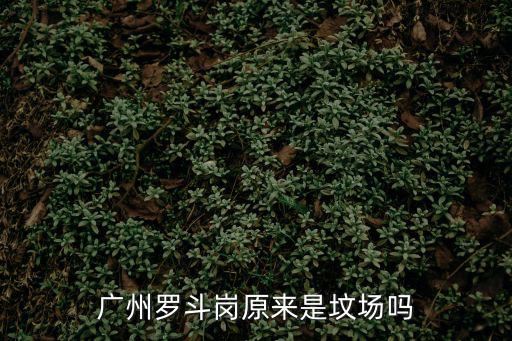 廣州羅斗崗原來是墳場嗎