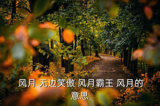  風月 無邊笑傲 風月霸王 風月的意思