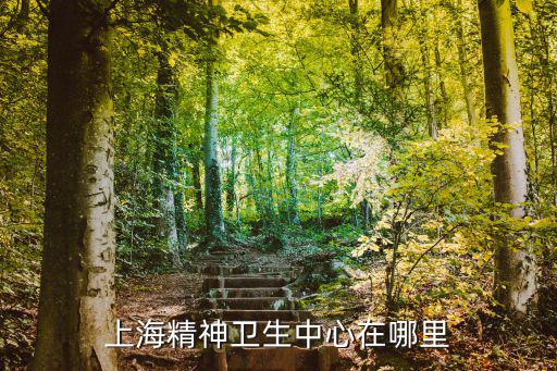上海精神衛生中心在哪里