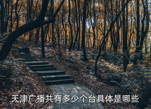 天津廣播共有多少個臺具體是哪些