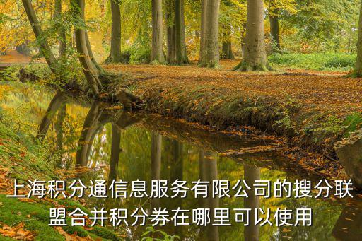 上海積分通信息服務有限公司的搜分聯盟合并積分券在哪里可以使用