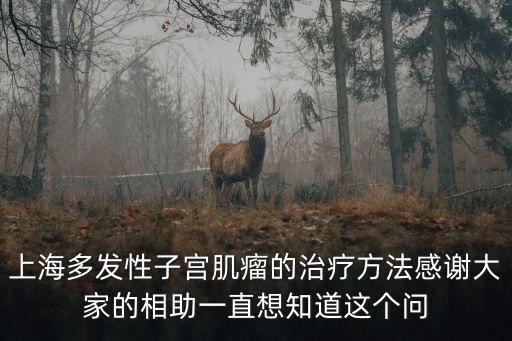 上海多發(fā)性子宮肌瘤的治療方法感謝大家的相助一直想知道這個(gè)問