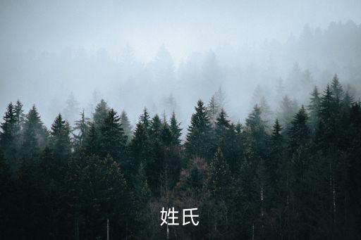 姓氏