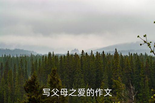 父母之愛的作文，一篇父母的愛的作文