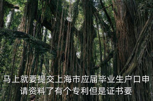 馬上就要提交上海市應屆畢業生戶口申請資料了有個專利但是證書要