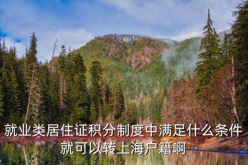 就業(yè)類居住證積分制度中滿足什么條件就可以轉(zhuǎn)上海戶籍啊