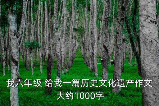 文化遺產作文，中國歷史文化遺產作文350字