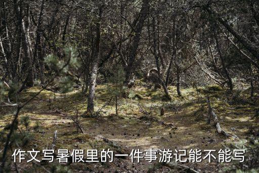 暑假游記，作文寫暑假里的一件事游記能不能寫