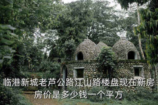 臨港新城老蘆公路江山路樓盤現(xiàn)在新房房價是多少錢一個平方