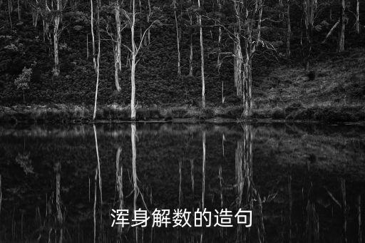 渾身解數(shù)的造句