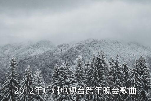 2012年廣州電視臺(tái)跨年晚會(huì)歌曲