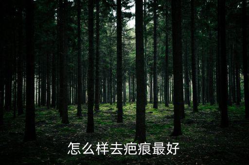 怎么樣去疤痕最好