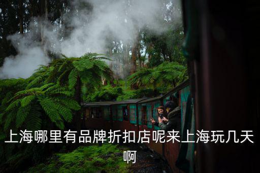 上海品牌折扣倉庫，請問上海共有哪幾家大型品牌折扣店