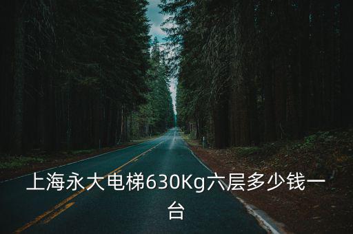 上海永大電梯630Kg六層多少錢一臺