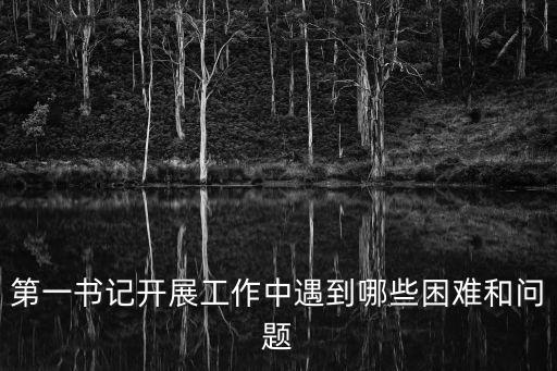 第一書記工作總結(jié)，支部書記本年度的述職報告怎么寫