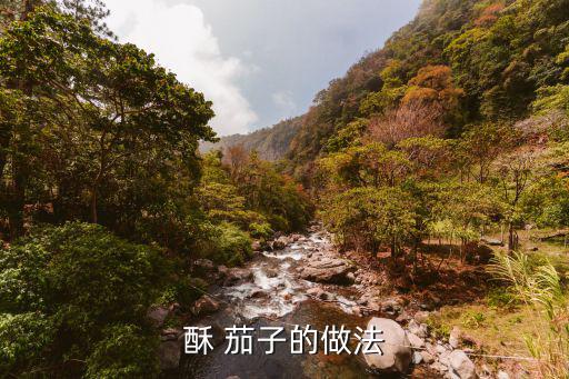 酥 茄子的做法