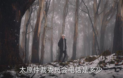 太原仲裁委員會電話是多少