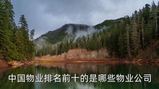 中國物業排名前十的是哪些物業公司