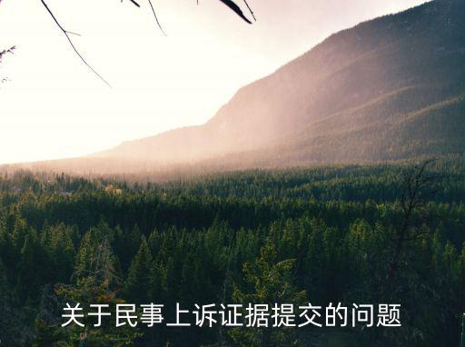 關于民事上訴證據提交的問題